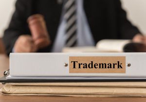 Trademark Judge
