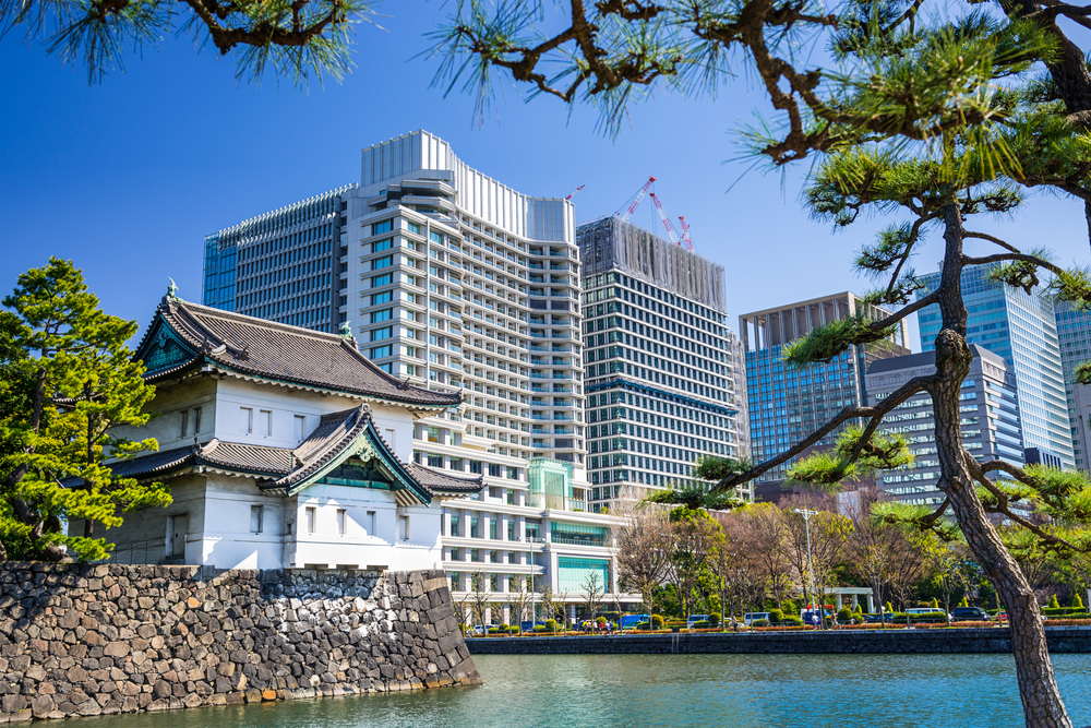 Japanese Castle and New Buildings