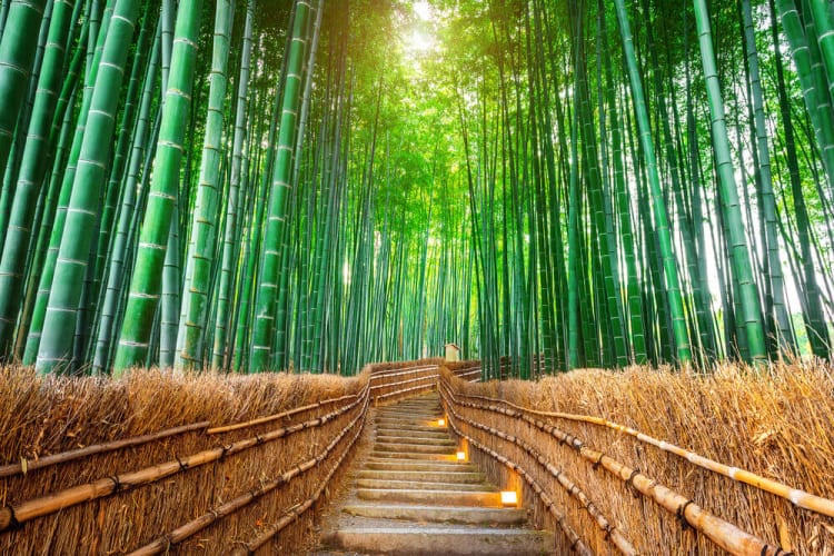 竹の持つ美しさを配した観光型スモールラグジュアリーホテル「THE JUNEI HOTEL 京都」2020年3月開業