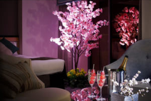 【ホテルニューオータニ】今年の春は ホテルでお花見「夜桜スイート」プラン販売