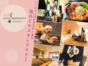 愛犬と一緒に“湯めぐりスタンプラリー”を愉しもう!熱海や箱根含む7施設にてキャンペーン開催|2025年11月17日~